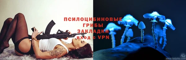 mix Белокуриха