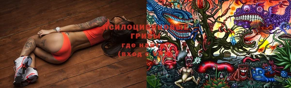 mix Белокуриха