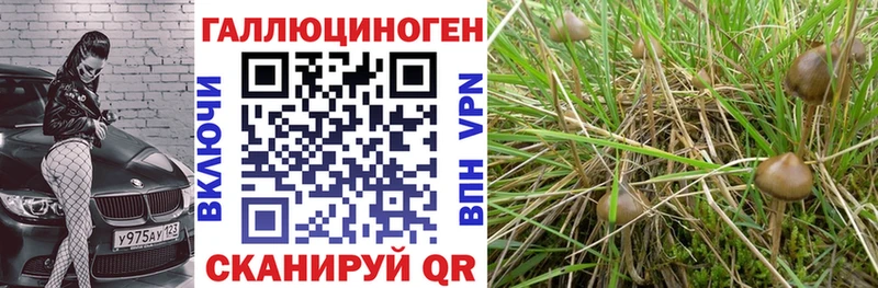 Псилоцибиновые грибы мицелий  магазин продажи наркотиков  Малоярославец 