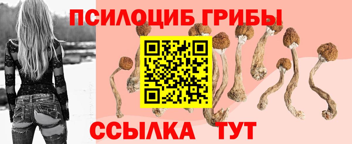 Псилоцибиновые грибы мухоморы Малоярославец