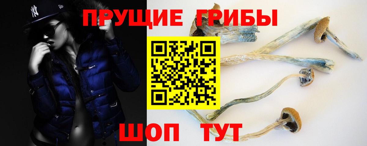 Малоярославец  Псилоцибиновые грибы мухоморы  Вход с VPN 